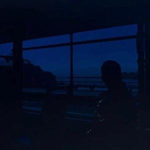 黄网站免费观看
