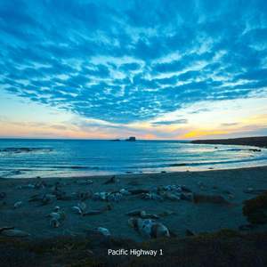 黄网站免费观看
